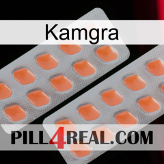 Kamgra 27